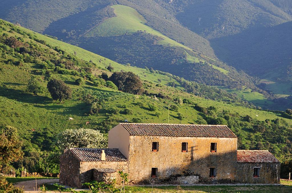 Villa Stazzu Coiga Aggius Exterior foto