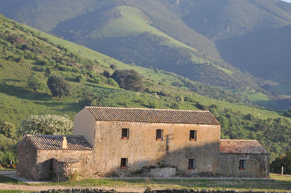 Villa Stazzu Coiga Aggius Exterior foto